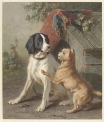 Två hundar i en hydda