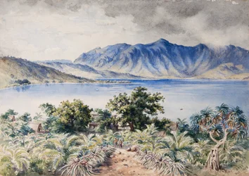 Naiviri Bay, Nananu, Fiji 1876 (akvarell)