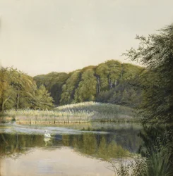 Swans on Paddington Pond, 1860-talet (wc på papper)