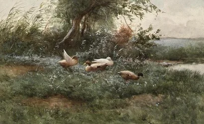 Ducks by a Pond (olja på duk)