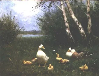 Ankor med ankungar (olja på duk)
