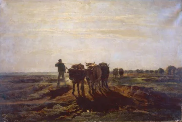 Platt landskap med oxe