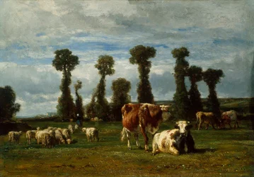 Betesmark i Normandie