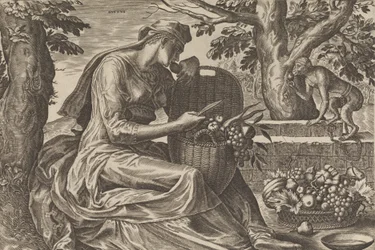 Smak, från The Five Senses, 1561.