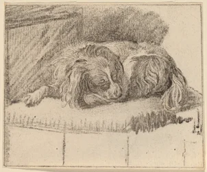 Liggande hund