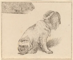Sittande hund