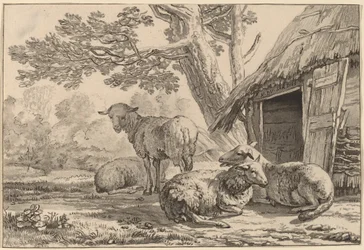 Fårkoja