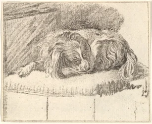 Sovande hund, 1777.