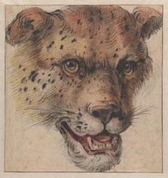 En leopards huvud