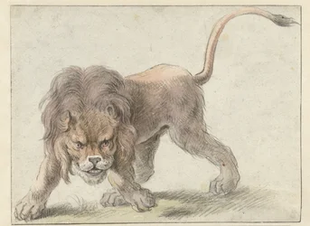 Lejon