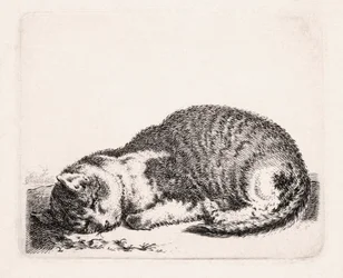 Sovande katt, c.1607-81