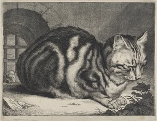 Den stora katten