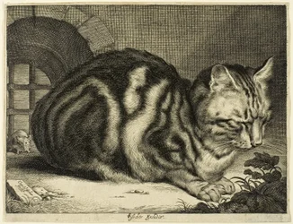 Den stora katten