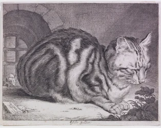 Den stora katten