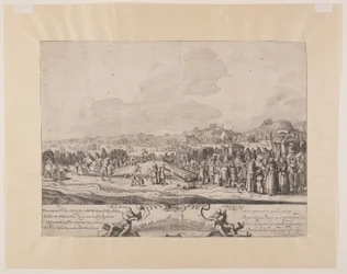 Cachalot strandad mellan Noordwijk och Zandvoort