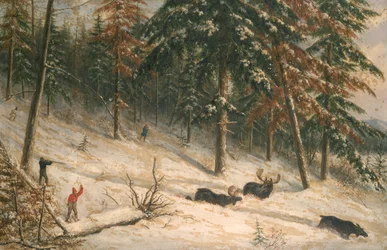 Älgjakt