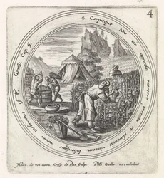 Noah planterar en vingård History of Noah (serietitel)