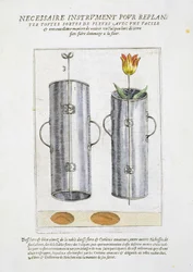 Anordning för omplantering av blommor, från "Hortus Floridus", publicerad 1614-15.