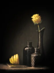 Elegant ros och citron
