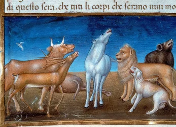 Världens ände: och stjärnorna kommer att falla från himlen och djuren kommer att bli rädda (c.149v). 1476