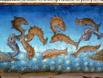 Världens ände: fisken kommer att simma ovanför (c.147r). 1476