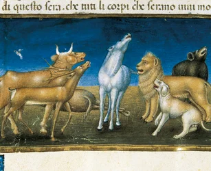 "Stjärnor kommer att falla från himlen inför djurens ögon" (miniatyr) Miniatyr av Cristoforo De Predis (1440-1486)