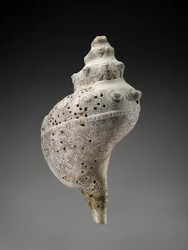 Himmelssnäcka med dödskallar, AD 900-1521 (skal)