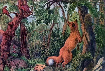 Den förbryllade räven, 1872.