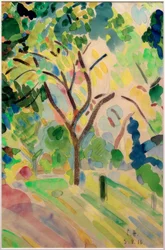 Träd i slottsparken i Pretzfeld