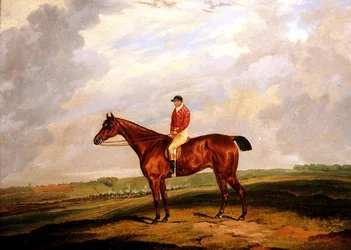 Tävlingshäst med Jockey Up