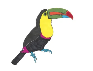 Toucan, 2024 (penna på papper med photoshop)