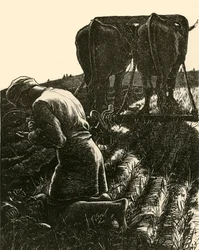 Den gömda skatten, 1864, 1928.