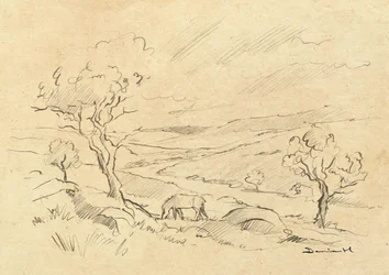 Dartmoorponny