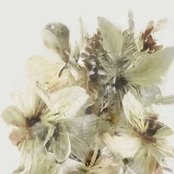 Bergsblommor