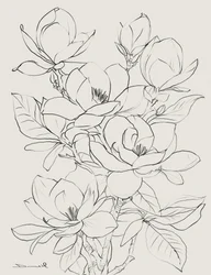 Magnoliaträd