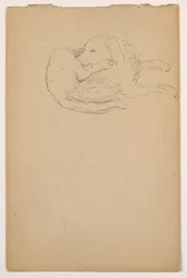 Teckning, Dash (en setter), ca 1862