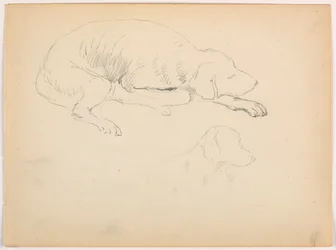 Teckning, Milo (en pointer), två studier, ca 1862