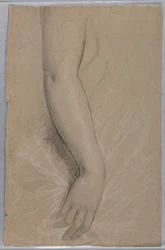Teckning, fru Rutherford B Hayes, 1880