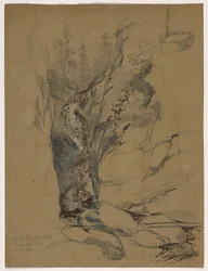 Reichenbachs fall