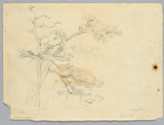 Studie av Two Pines, Catskill Mountains
