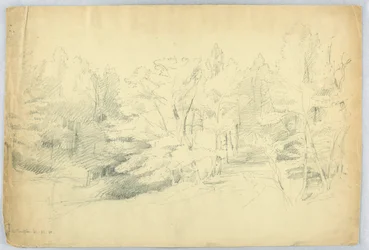 Skogbevuxen scen - West Campton, New Hampshire