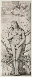 Eve