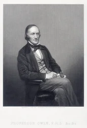 Sir Richard Owen, engelsk zoolog, c1860.