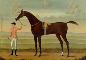 En björnhäst med sin jockey på en kapplöpningsbana