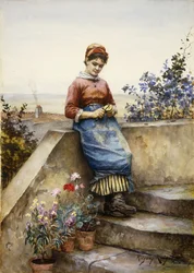 Skala ett äpple, 1884