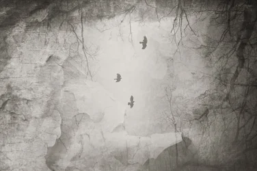 Ethereal Birds – Vinterflygning