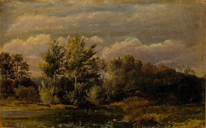 En skogssjö omgiven av björkar. Studie.
