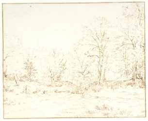En skogsväg