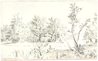 Landskap med skog och äng