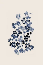 Indigo i blom